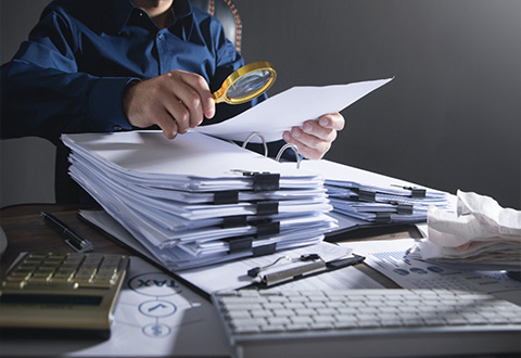 Audit Services