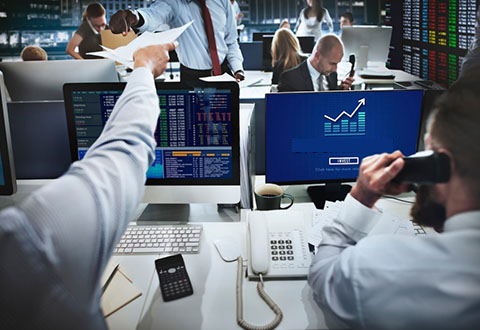 Audit Services